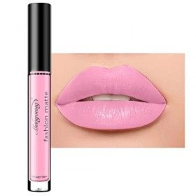 Encre à Lèvres Liquide Mate, Waterproof No Transfert Rouge à lèvres, Rouge a Levre Mat Longue Tenue, Haut pigmenté Rouge a Le