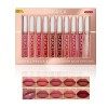 Lot de 9 Brillants à Lèvres Mat et 1 kit de Maquillage Plus Dodu Pour Les Lèvres, Rnsemble Nude Rouge à Lèvres Liquide 10 Piè