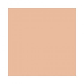 MAC Fond De Teint Poudre Studio Fix : C4.5