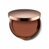 Fond de Teint Poudre Compacte Teint Parfait, C8 Chocolate