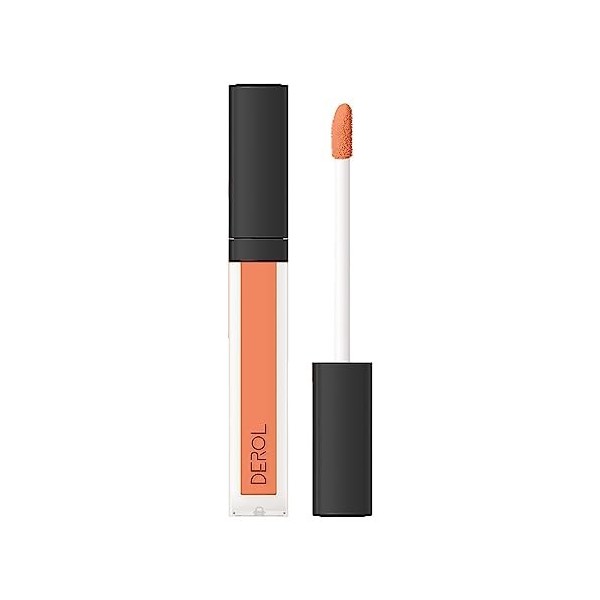 Maquillage correcteur pour peau grasse - Fond de teint liquide mat doux - Fond de teint anti-cernes léger, parfait pour les v