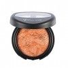 Flormar - Fard à Joues - Terracotta 46 - Excellent Coverage