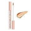 Fond De Teint Dark Makeup Base Circles Liquid Concealer 2.7ml Cover Foundation Cream Concealer A, One Size 