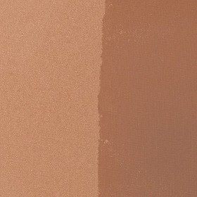 Arcancil 1952T001 Vip Bronze Poudre bronzante Vegan