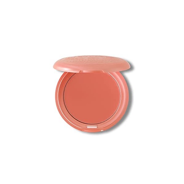 Stila Convertible Colour for Lips and Cheeks, Gerbera 4.25 g