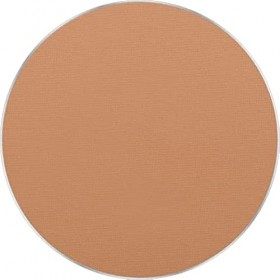 Freedom System Perfect Finish Poudre pressée 15