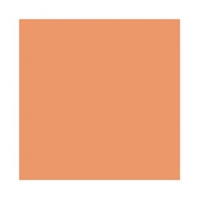 MAC Poudre Perfectrice Studio Fix : Medium Plus