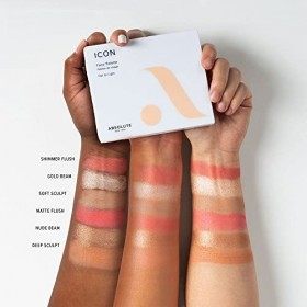 Palette Visage Icon - Fair To Light - Absolute New York - Contouring & Highlighter - Mfpf01 Fair To Light 2,5 G X 6