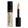 Concealer High Coverage - 002 Ivory Gosh