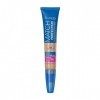 Rimmel Match Perfection 2-in-1 Concealer and Highlighter, Light Medium, 1 Count Anti-cernes / Correcteurs