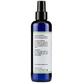 Eau Florale Cosmétique - Hélichryse BIO - 200 ml