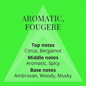 Colour Me Volt - Fragrance for Men - 150ml Body Spray, by Milton-Lloyd