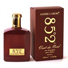 VENT DU NORD Eau de parfum pour homme 100 ml - Fabriqué en France - Produit de Grasse 85°2 boisé, fougère 