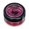 Paillettes biodégradables Eco Glitter Shakers de Moon Glitter - 100% Cosmetic Bio Glitter pour le visage, le corps, les ongle