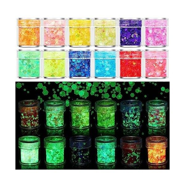 Holzsammlung 12 Couleurs Lumineuse Paillettes Gel, Holographique Paillettes, Fluorescent Paillette pour Visage,Corps, Cheveux