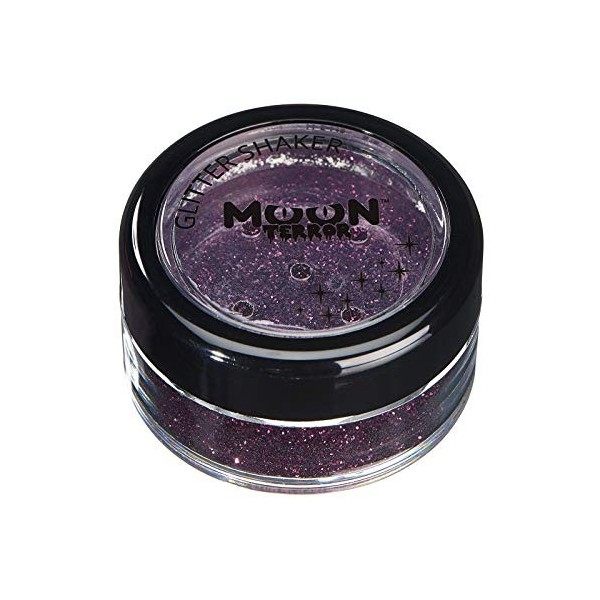 Moon Terror - Agitateur De Paillettes De Maquillage dHalloween Pour Le Visage Et Le Corps - 5g - Ajoutez Facilement Des Etin