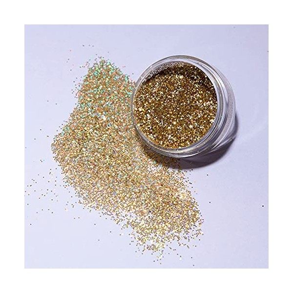 Holographic Glitter Shakers par Moon Glitter - 100% cosmétiques paillettes pour le visage, le corps, les ongles, les cheveux 