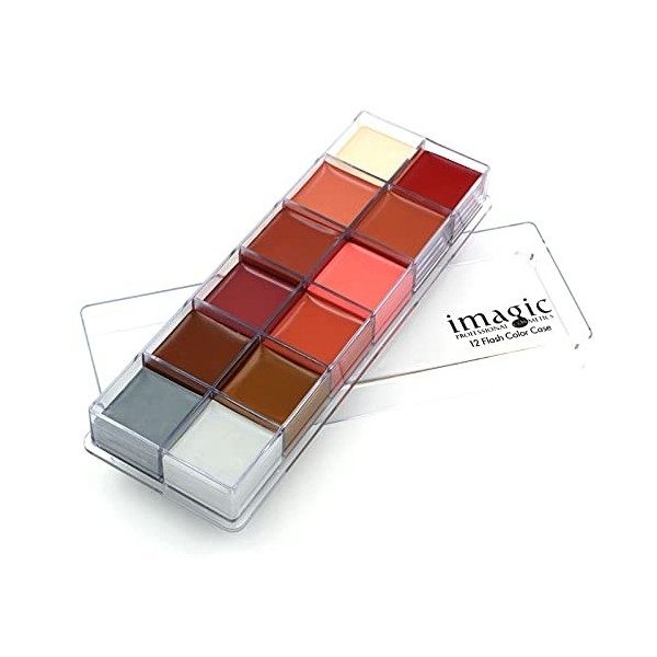 Palette d’huile professionnelle pour le visage et le corp - 12/16 couleurs peinture à lhuile Flash tatouage maquillage Palet