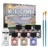 VIOLA HOUSE Poudre métallique de maquillage, peinture pour le corps en poudre métallique, kit de maquillage de Noël, bricolag