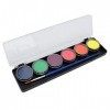 Pigment de Peinture pour le Visage Couleur Vive 6 Couleurs Rendu des Couleurs Délicates Kit de Peinture pour le Visage Facile