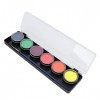 Pigment de Peinture pour le Visage Couleur Vive 6 Couleurs Rendu des Couleurs Délicates Kit de Peinture pour le Visage Facile