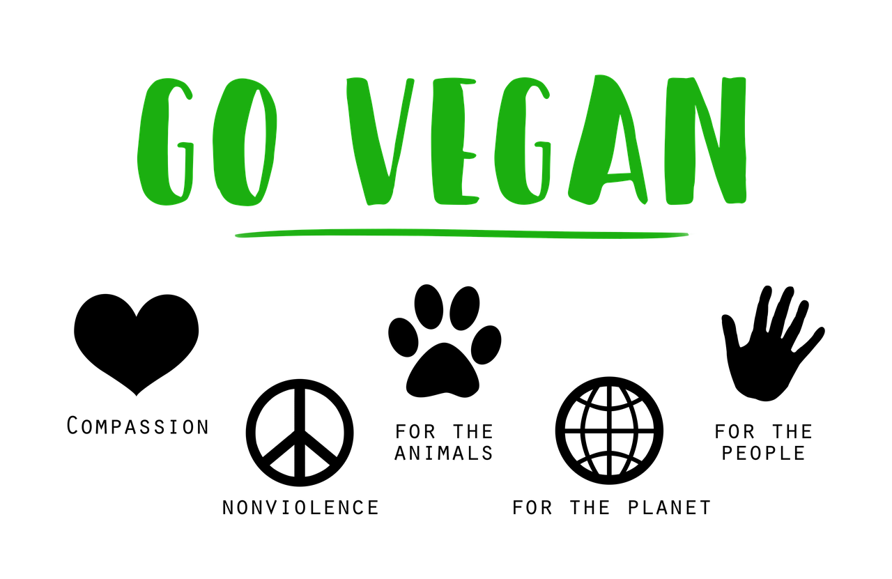 De toewijding van veganistische producten