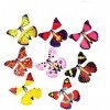Papillon Volant, 12 Pièces Créatif Papillon Magique, Carte de Papillon Volant Magique, Papillon Surprise, Adapté aux Cadeaux,