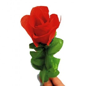 Rose conforme - Trucs de Magie Professionnel Boîte mystérieuse avec vidéo explicative articles pour enfants Jeux de collectio