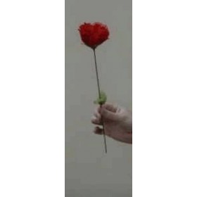 Torche en rose - Tour de magie