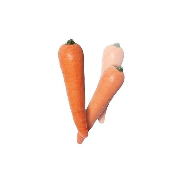 VDF Magic - Multiplicación de zanahorias látex 