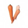 VDF Magic - Multiplicación de zanahorias látex 
