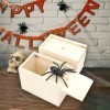 ZIOYA 2 pièces Boite Surprise Araignee Prank Araignée Spider Box Boîte Jouet Farce daraignée Araignée Halloween Objet Drole 