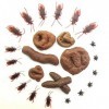 KALUROIL 24 PCS Faux Caca Réaliste et Insectes Farceurs - Jouets Drôles pour Poisson dAvril et Plus