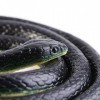 Hztyyier Réaliste en Caoutchouc Souple Noir Mamba Serpent Jouet de Jardin Accessoires 52 Pouces de Long pour drôle Blague Bla