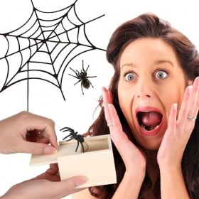 YiliYa Lot de 2 boîtes daraignée dans une boîte en bois - Cadeau amusant pour homme et femme