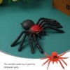 TOYANDONA Lot de 5 araignées réalistes en caoutchouc extensible pour farces et décoration