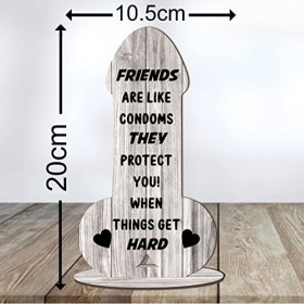 Pixies Gifts Plaque damitié amusante et grossière - Cadeau danniversaire pour meilleure amie - Couleur et taille disponibl