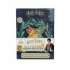 Cinereplicas Harry Potter - Calendrier de lAvent 2022 - Licence officielle