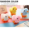 XiXiRan 6 Pcs Pâques Sautant Poulet en Peluche Poussins pour Enfants, Jouets à Remonter Sauter Mécaniques Poussins, Poussin d