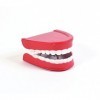 Bristol Novelty Novelty-GJ064 GJ064 Fausses Dents à Remonter, Rouge/Blanc