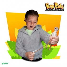 Rep Pals - Suricate, Jouet Extensible de Deluxebase. Répliques danimaux Super Extensibles et réalistes, idéal pour Les Enfan