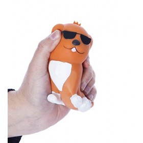 Boxer Gifts Jouet Anti-Stress pour Chien-Aide à Lutter Contre lanxiété pour Les Amateurs de Chiots