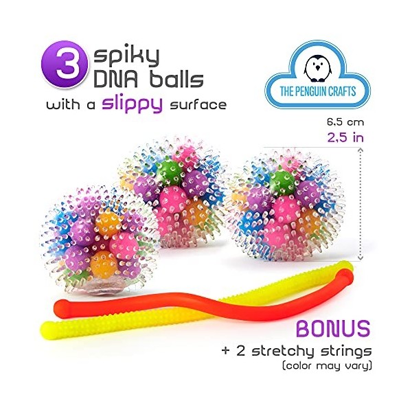 Lot de 5 balles anti-stress ADN à picots pour enfants et adultes - Balles sensorielles anti-stress avec cordes extensibles te