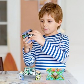Cube Magique Infini Kit, 6 Pièces 3D Magic Puzzle Cubes, Dinosaure Panda Cube Transformant Jouet Anti-Stress Sensoriel Cadeau
