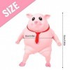 LUFEIS Squeeze Piggy Toy, Cochon Jouets À Presser Balles, Stretch Stress Pig pour Enfants et Adultes, Soulagement du Stress, 