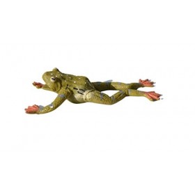 Keycraft Jouets souples extensibles – Jouets en forme de crapaud formosan animal, sans BPA, lavables, parfaits pour la scienc