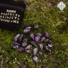 Runes Divinatoires VIKINGS - Pack de 25 Runes en Pierres