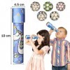 Funmo 6 pièces Kaléidoscope, Classique Tin kaléidoscope Rotatif Multi Prisme en Papier Kaléidoscope Rotating Kaléidoscope Pap