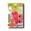 Instant Slime Kit Neon - 2 Neon Glue 180ml + Activateur 250ml - 18951