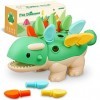 Allhaha Jeux Dinosaures - Jouet Sensoriel Montessori Motricité Fine Activités Éducatif Bébé - Cadeau Jouet Jeux Eveil Bebe 6 